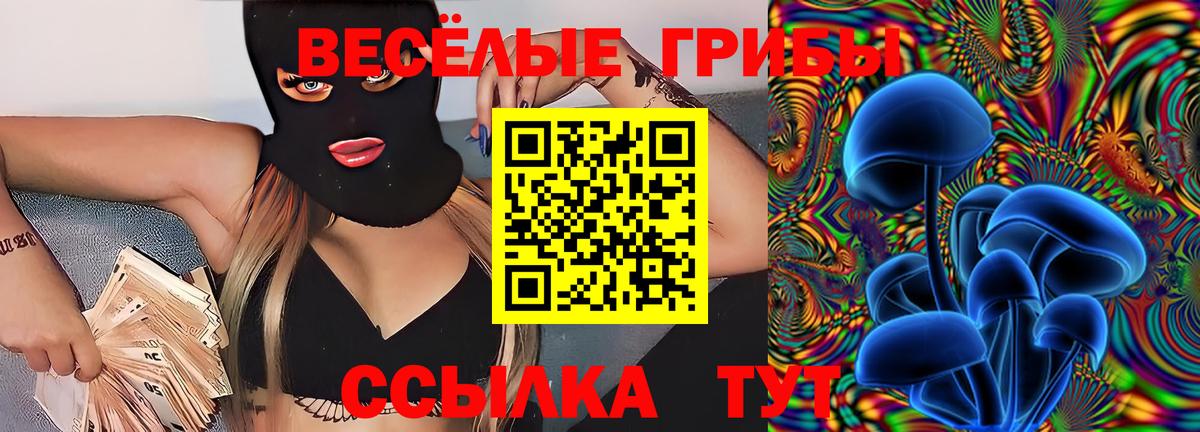 Галлюциногенные грибы Psilocybine cubensis  Вход с VPN  Нальчик 