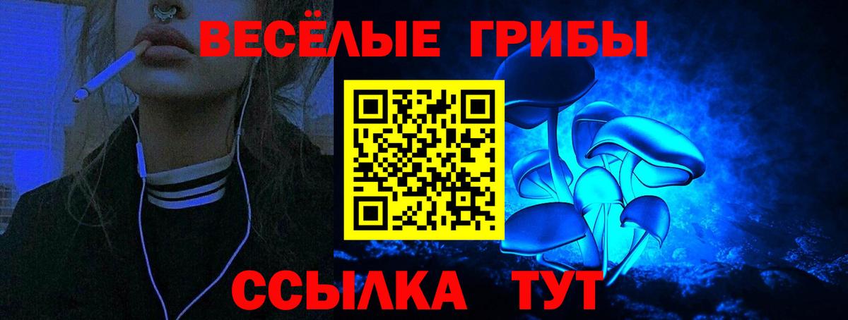 Псилоцибиновые грибы MAGIC MUSHROOMS Нальчик